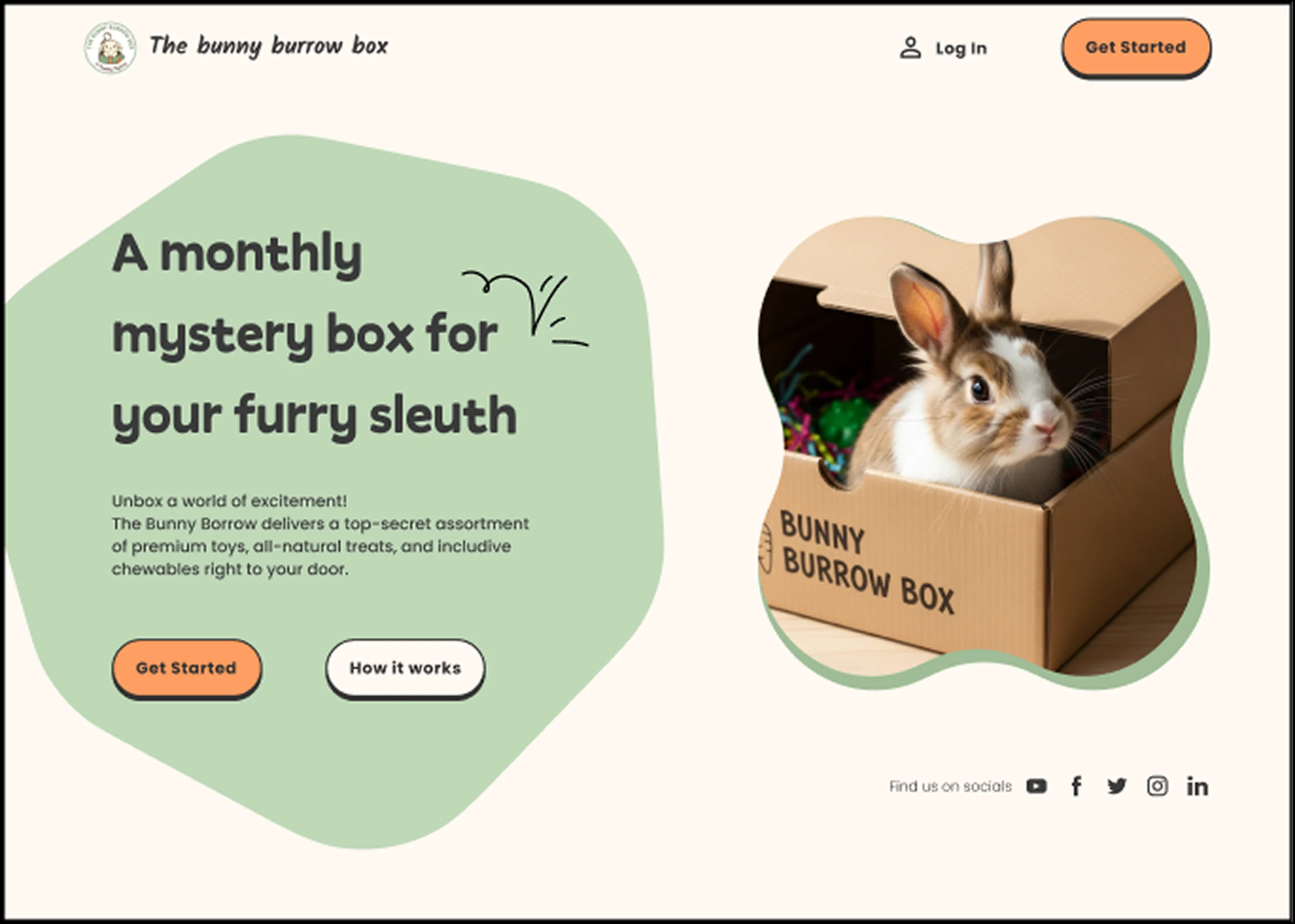 Example Project of a bunny website and branding